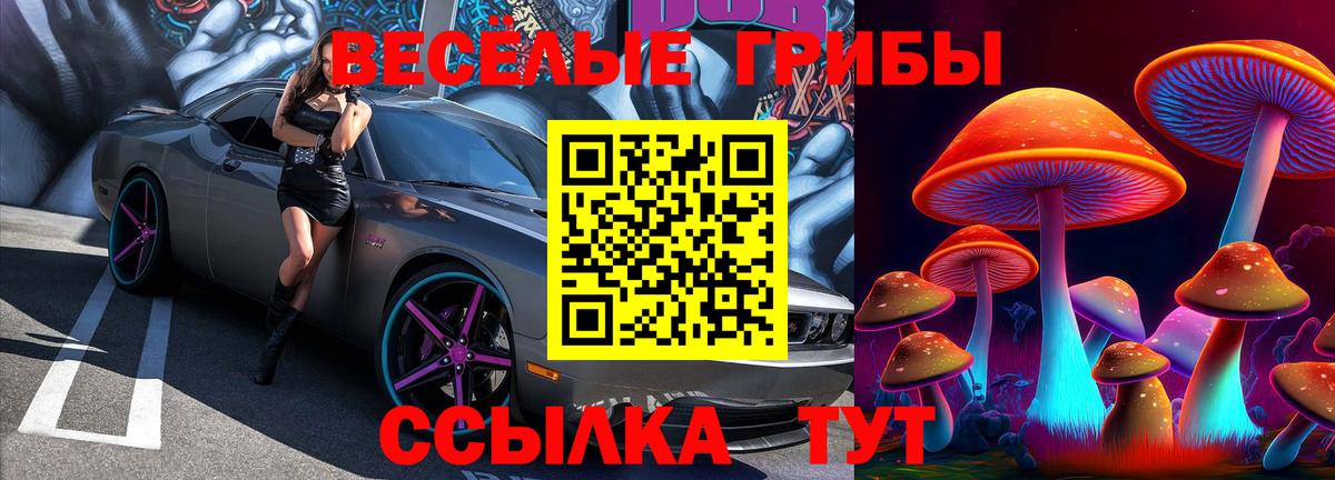 Галлюциногенные грибы MAGIC MUSHROOMS Элиста