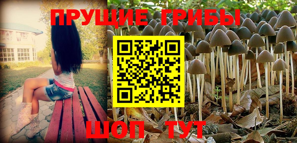 Элиста  Псилоцибиновые грибы Psilocybine cubensis  наркотики  Галлюциногенные грибы MAGIC MUSHROOMS  Вход с VPN 