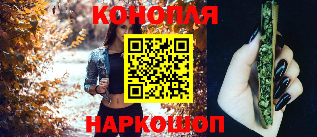 Бошки Шишки марихуана Элиста